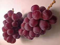 スカーレット （赤いシャインマスカット）