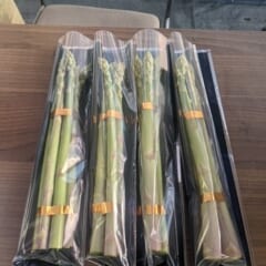 春採アスパラガス　Ｌサイズ以上5kg