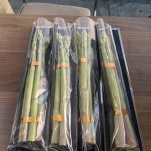 春採アスパラガス　Ｌサイズ以上5kg