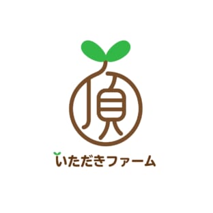 ぶどう園地の近況