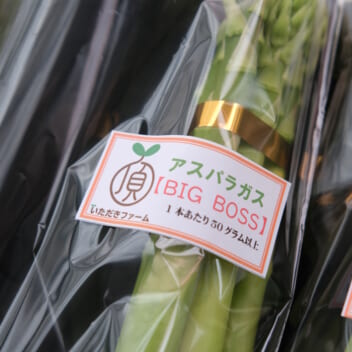 春採アスパラガス  BIG BOSS(3Lサイズ 1本あたり50g以上  2㎏)